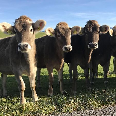 Ferienwohnung Am Kurpark Oy-Mittelberg Exteriör bild